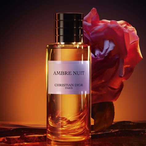 dior la nuit|Ambre Nuit Dior for women and men .